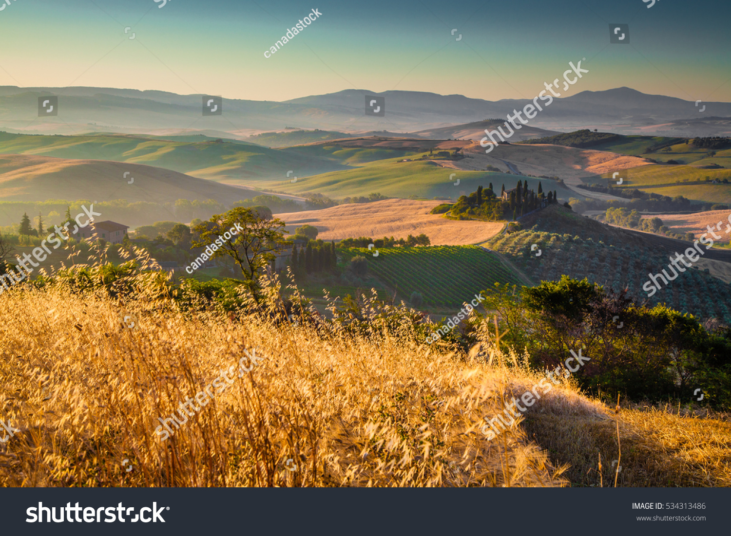 Classic view of scenic Tuscany landscape with famous farmhouse amidst idyllic rolling hills and valleys in beautiful golden morning light at sunrise in summer Val d'Orcia Italy Classic view of scenic Tuscany landscape with famous farmhouse amidst idyllic rolling hills and valleys in beautiful golden morning light at sunrise in summer Val d'Orcia Italy