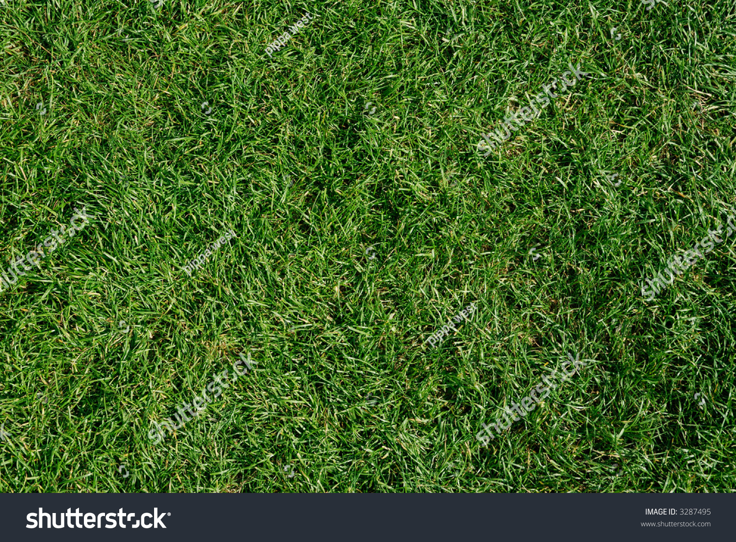 Close Up Of Freshly Cut Green Grass Lawn Background Stock Photo 3287495