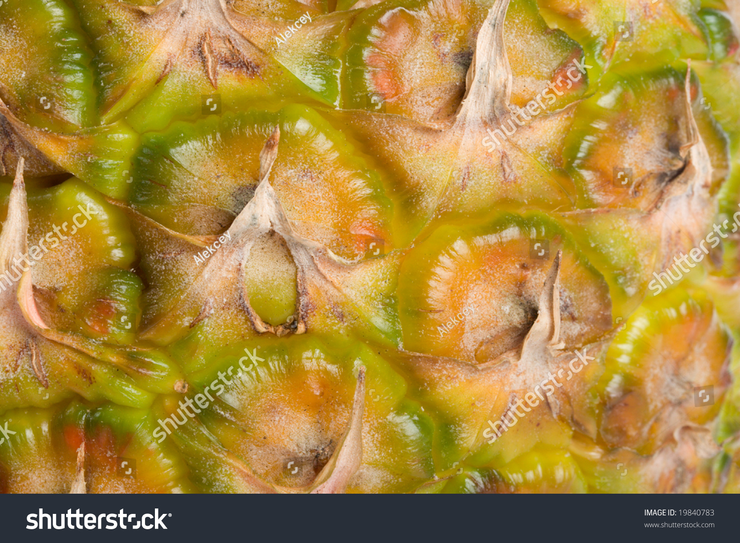 Close Up Pineapple Skin Stock Photo Shutterstock