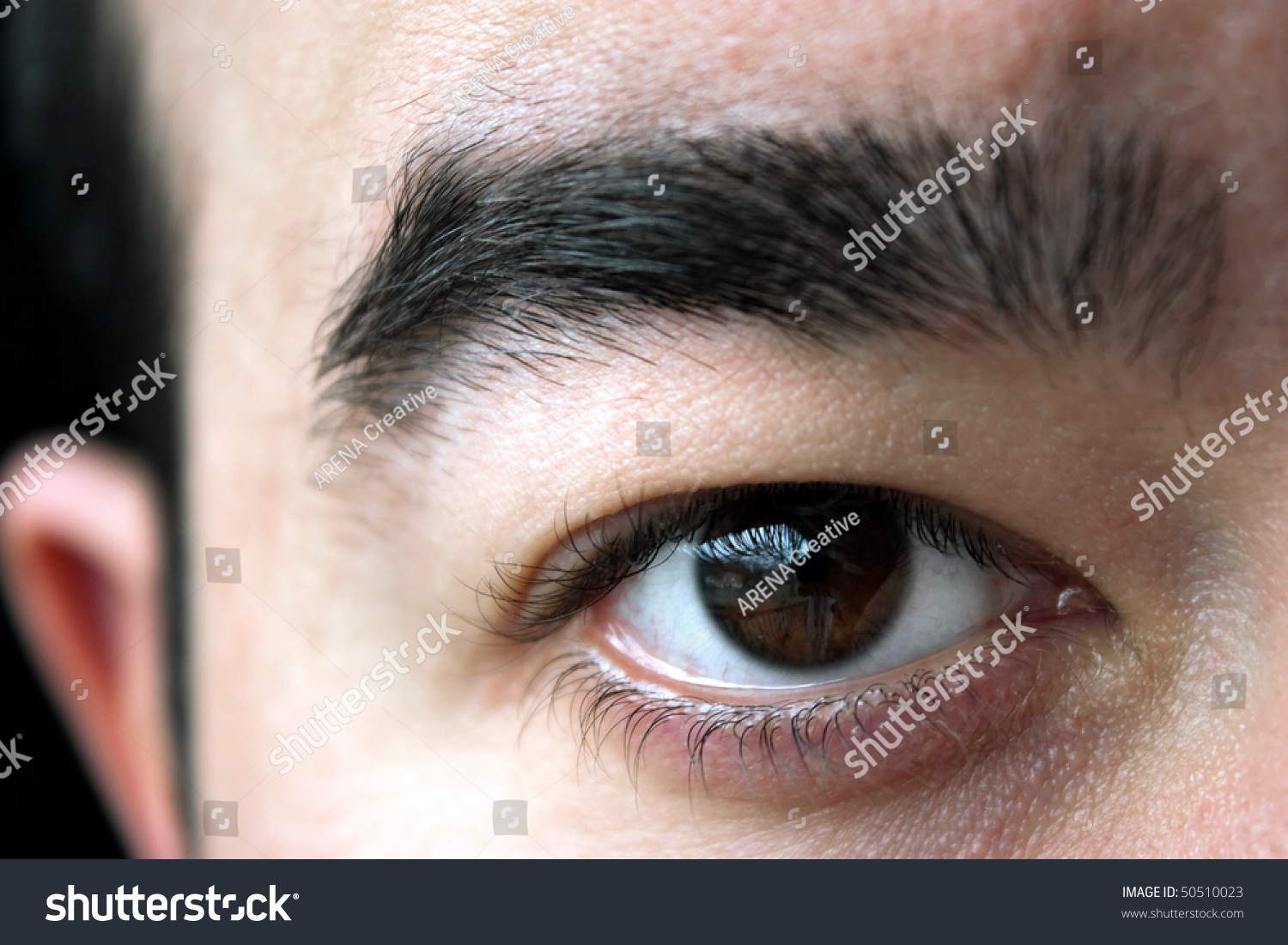 Closeup Mans Brown Eye Eyebrow Shallow Stock Photo 50510023 Shutt