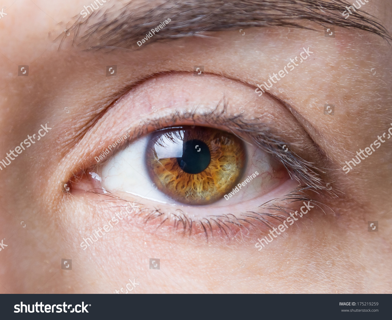 Closeup Of Beautiful Female Natural Brown Eye Without Makeup Stock