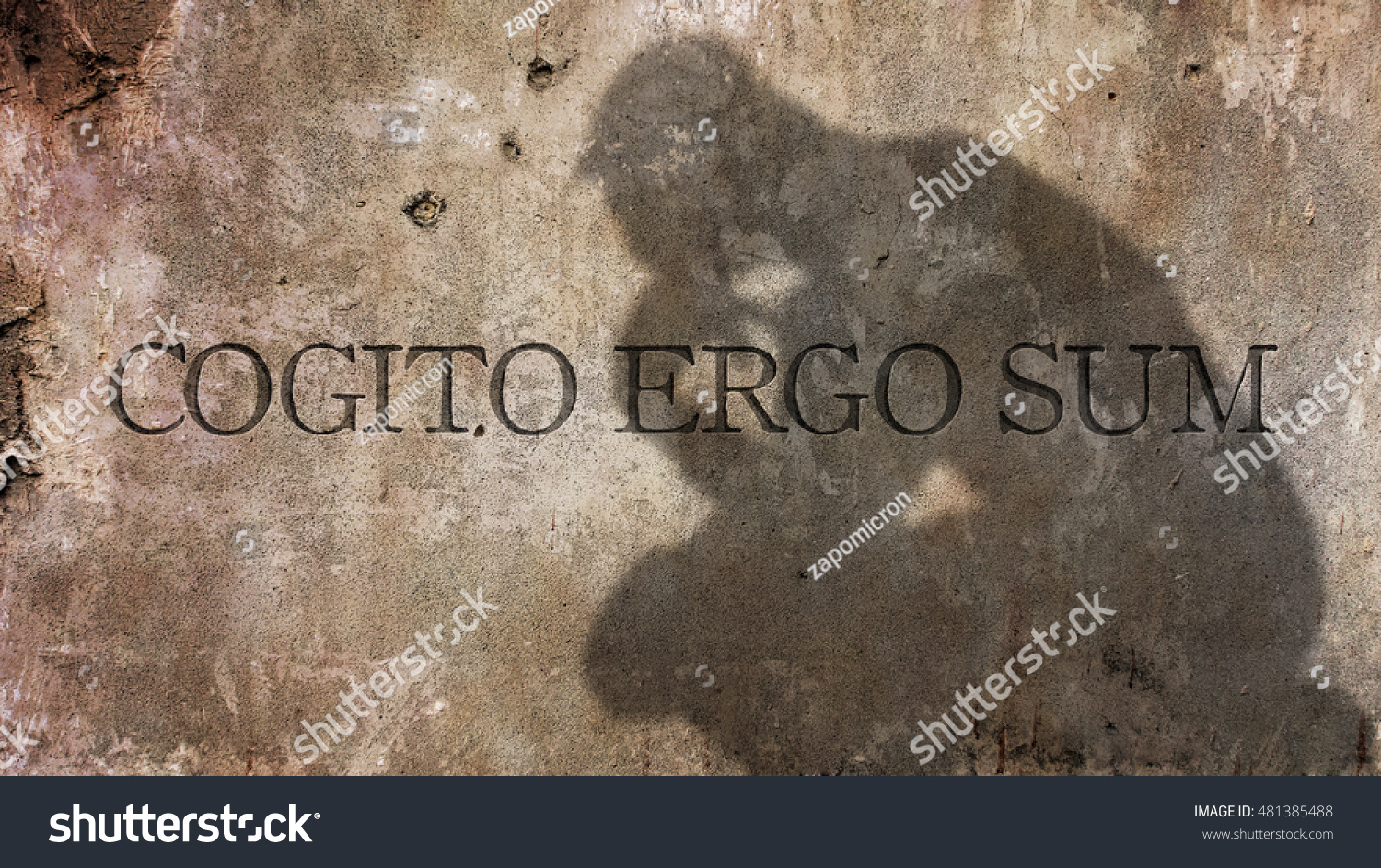 Cogito Ergo Sum Images Stock Photos Vectors Shutterstock