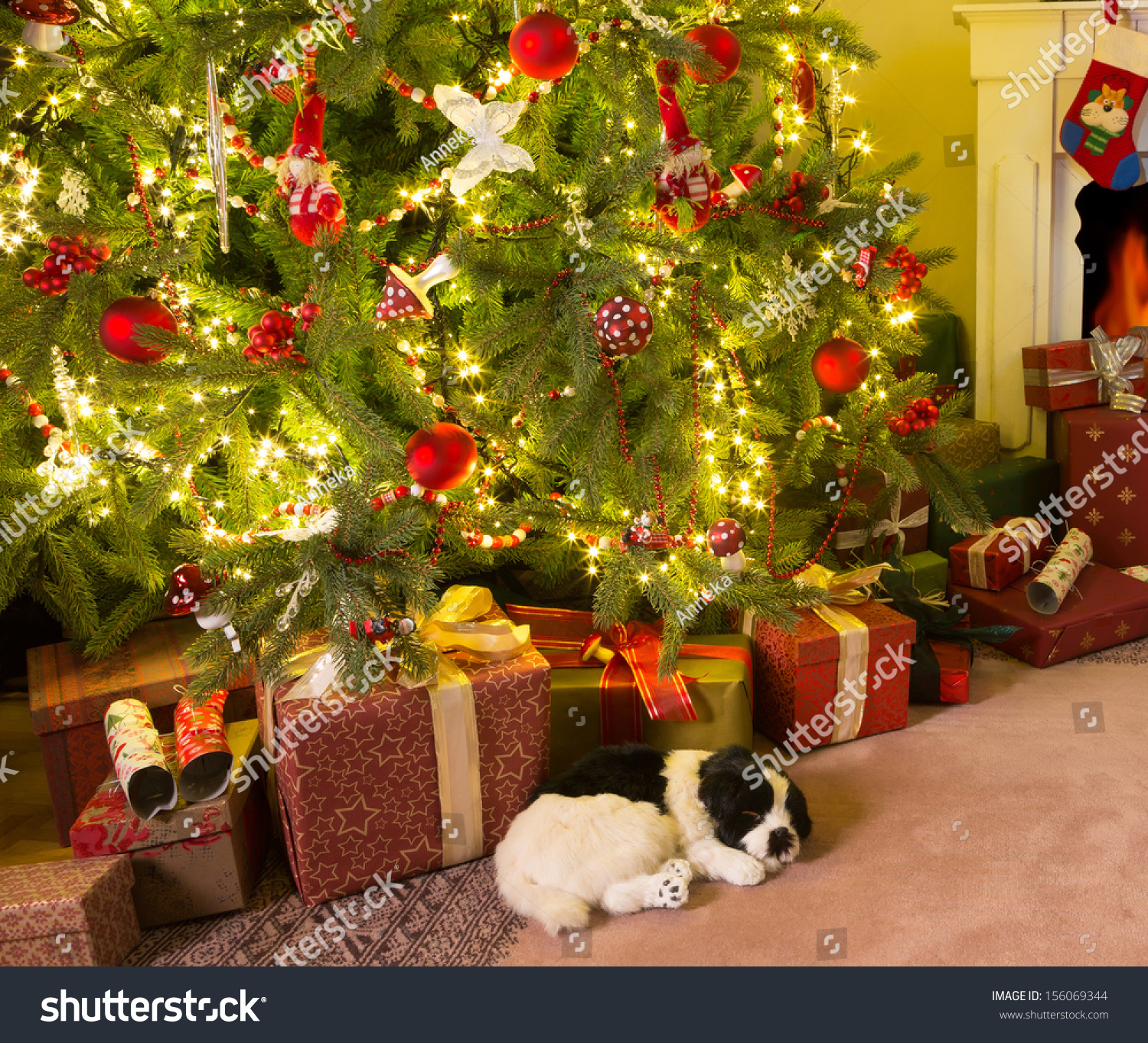 Colorful Presents And A Dog Under The Christmas Tree Stock Photo 156069344 : Shutterstock