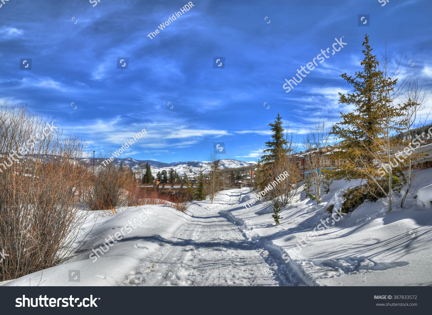 Colorful view of cross-country skiing path in beautiful winter landscape in Aspen Colorado with blue HDR sky USA Colorful view of cross-country skiing path in beautiful winter landscape in Aspen Colorado with blue HDR sky USA