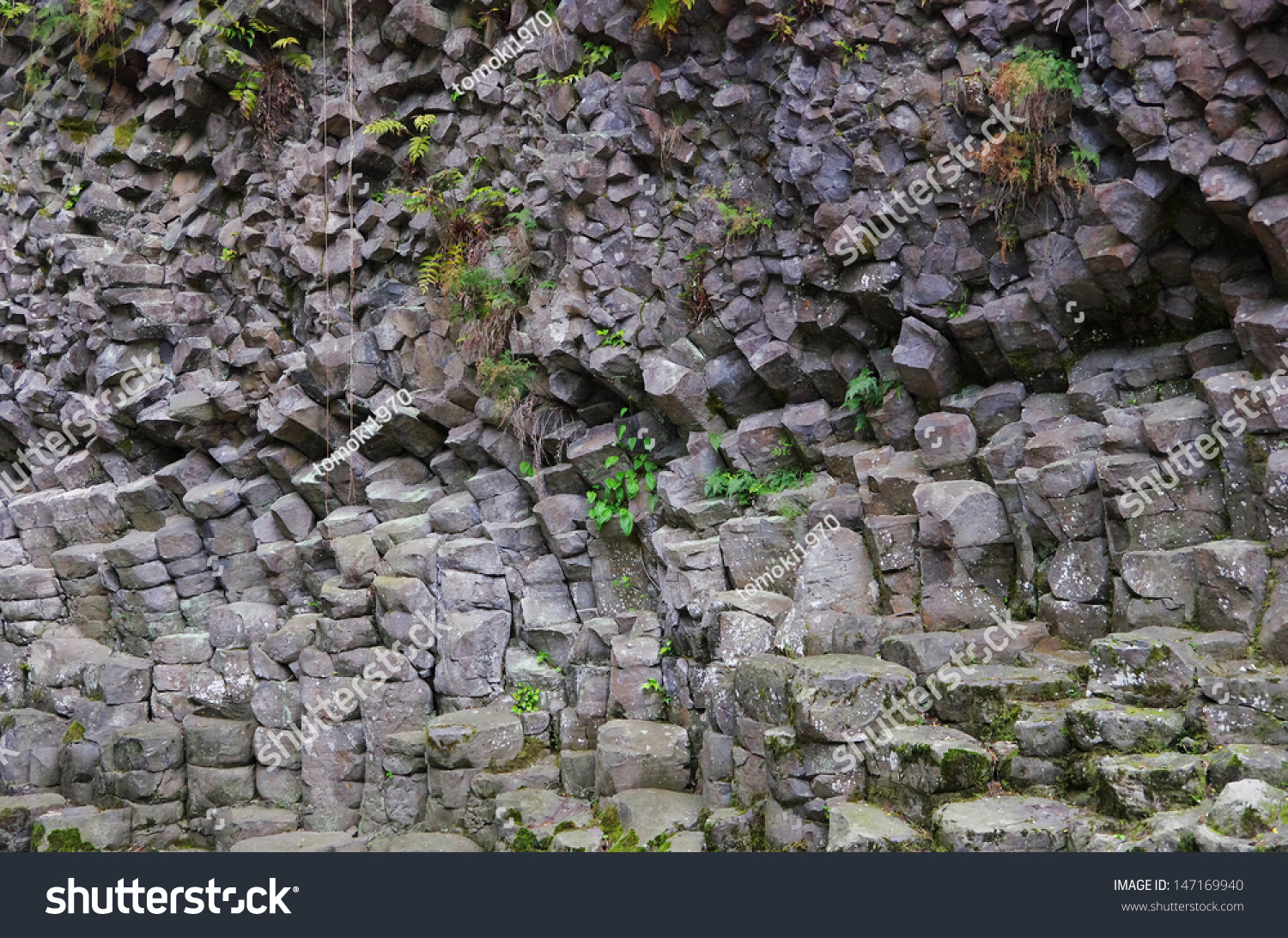 Columnar Joint Basalt Genbudo Cave Stock Photo 147169940 Shutterstock