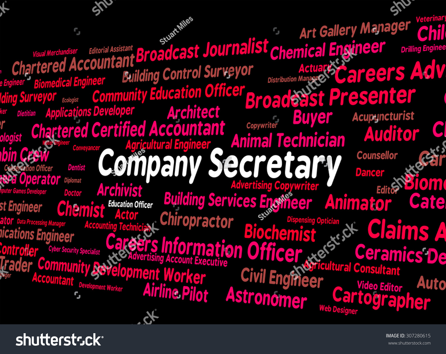 Company Secretary Indicating Clerical Assistant And Companies Stock