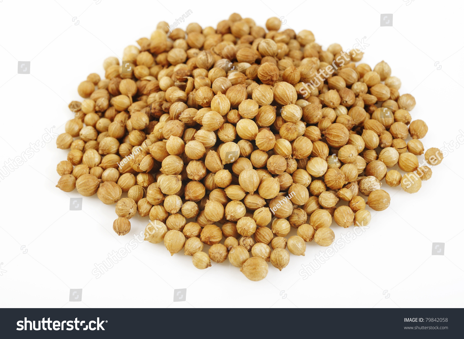 Image result for white coriander seed
