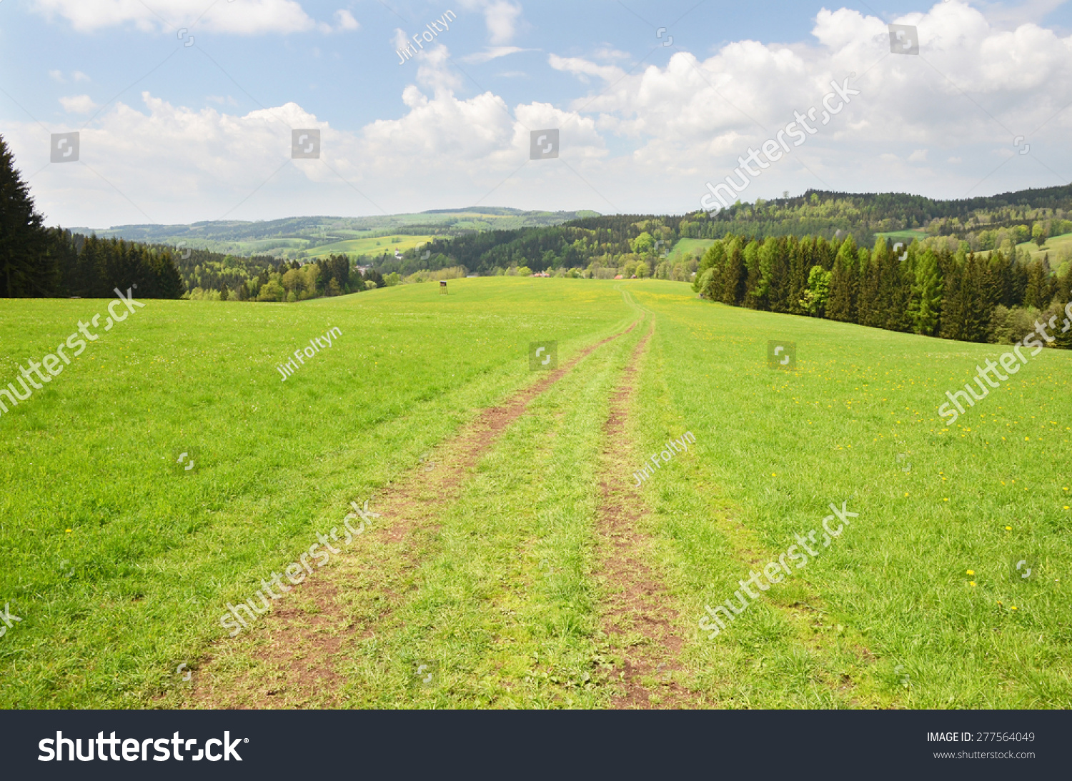 Stock options czech republic