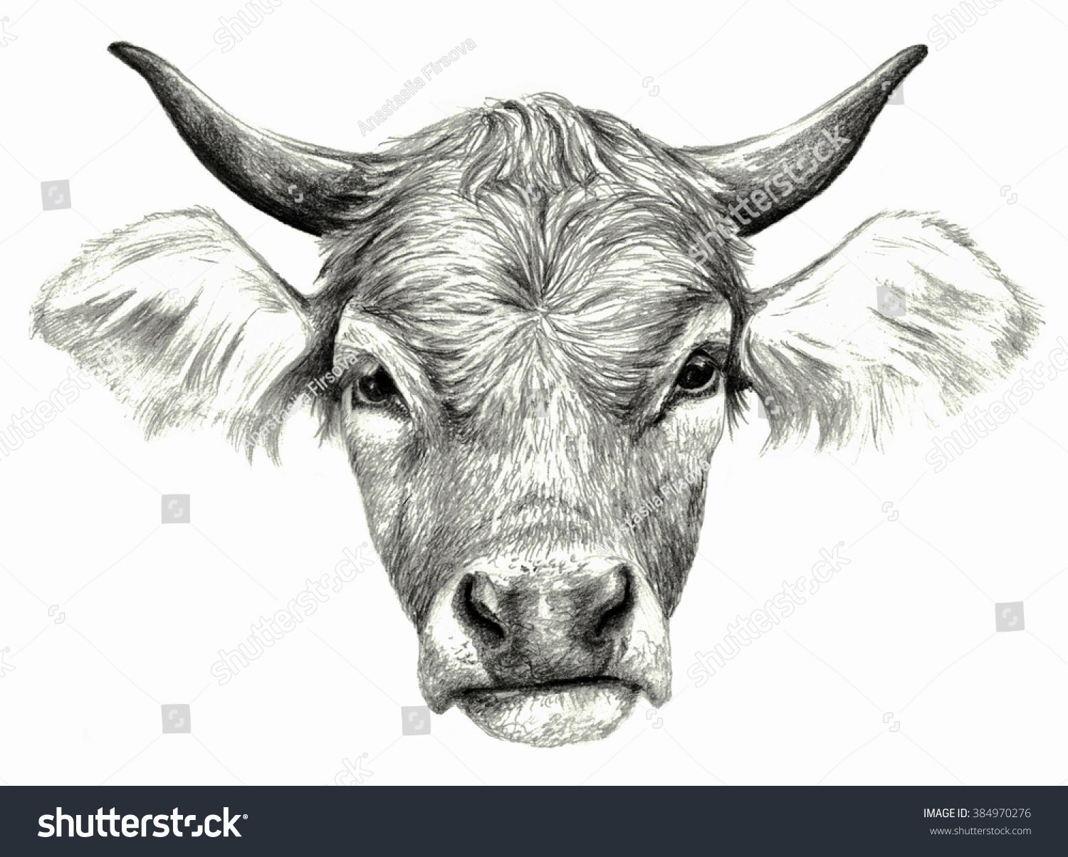cow head pencil drawing cow head pencil drawing