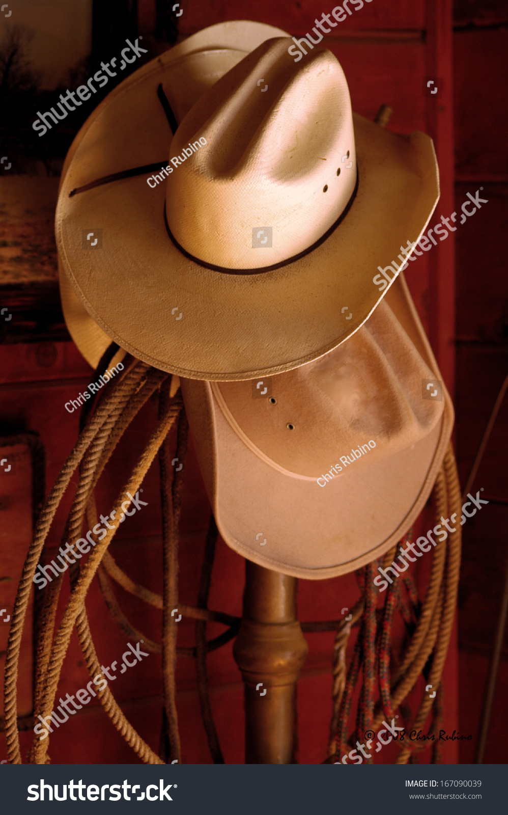 cowboy-hats-hanging-on-a-rack-stock-photo-167090039-shutterstock