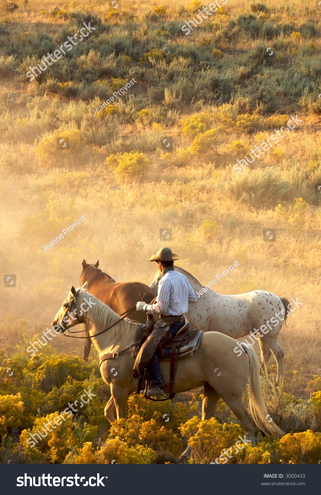 cowboy-working-on-ranch-stock-photo-3000433-shutterstock