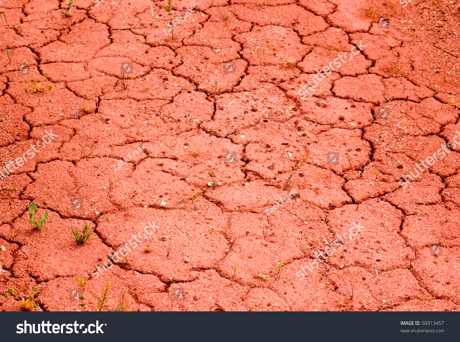 Cracked Red Soil Stock Photo 50913457 Shutterstock