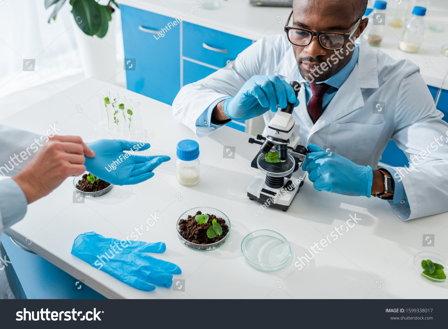 Cropped View Biologist Taking Off Latex Stock Photo