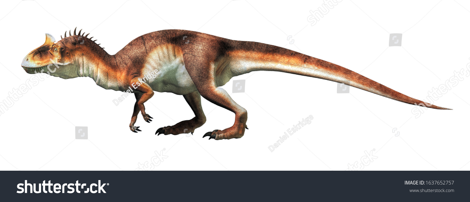 Cryolophosaurus Carnivorous Theropod Dinosaur Known Distinctive