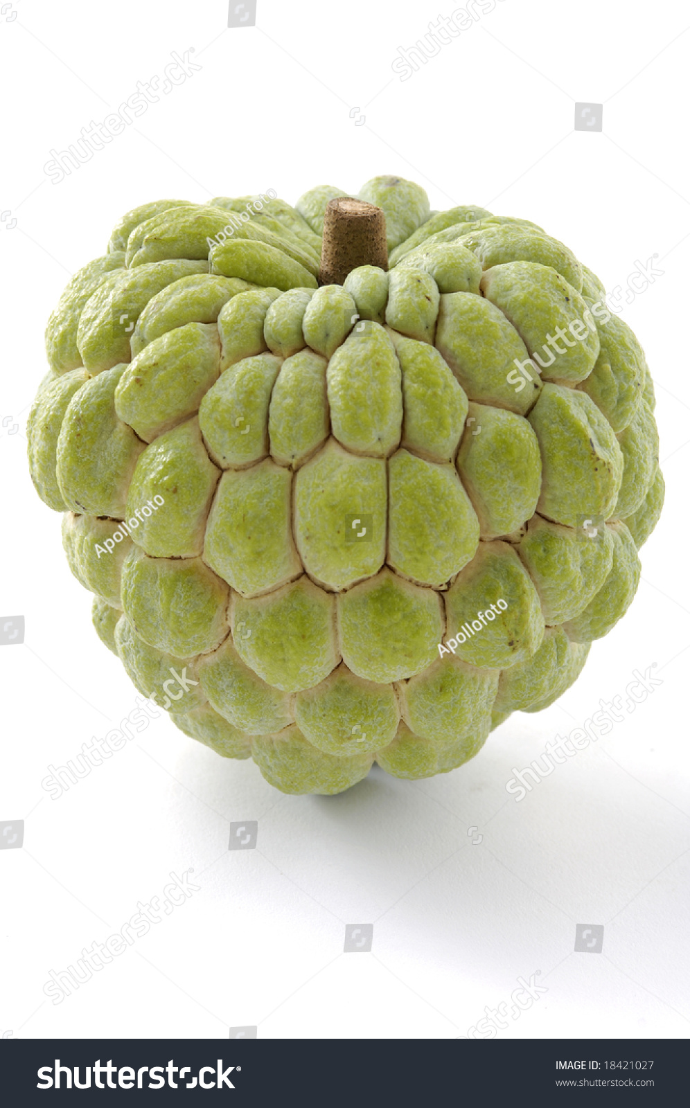 Custard Apple Stock Photo 18421027 : Shutterstock