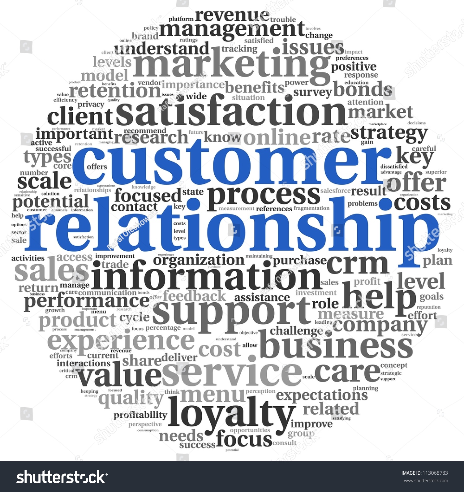 Customer Relationship Management Thesis