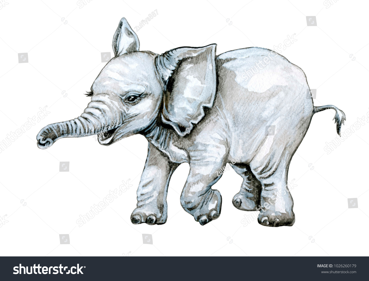 Ilustrasi Stok Cute Baby Elephant Watercolor Illustration Isolated