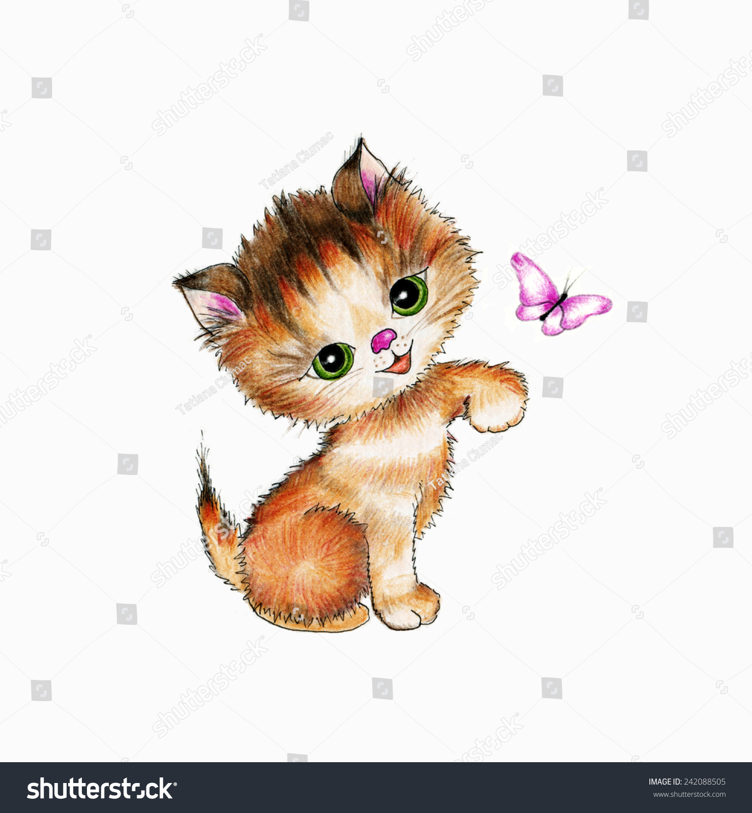 Cute Kitten And Butterfly Stock Photo 242088505 : Shutterstock