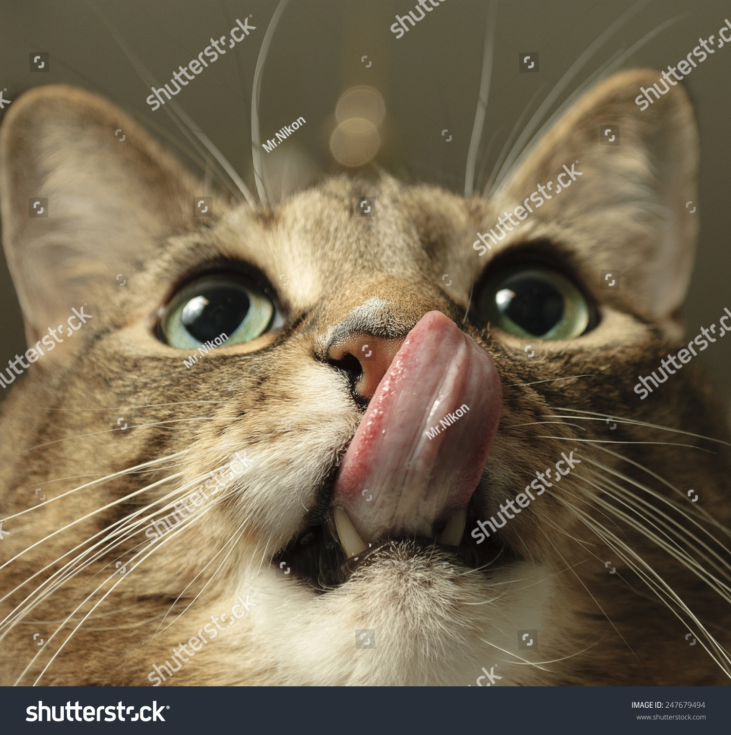 Midget slides on face Deepthroat competition tube