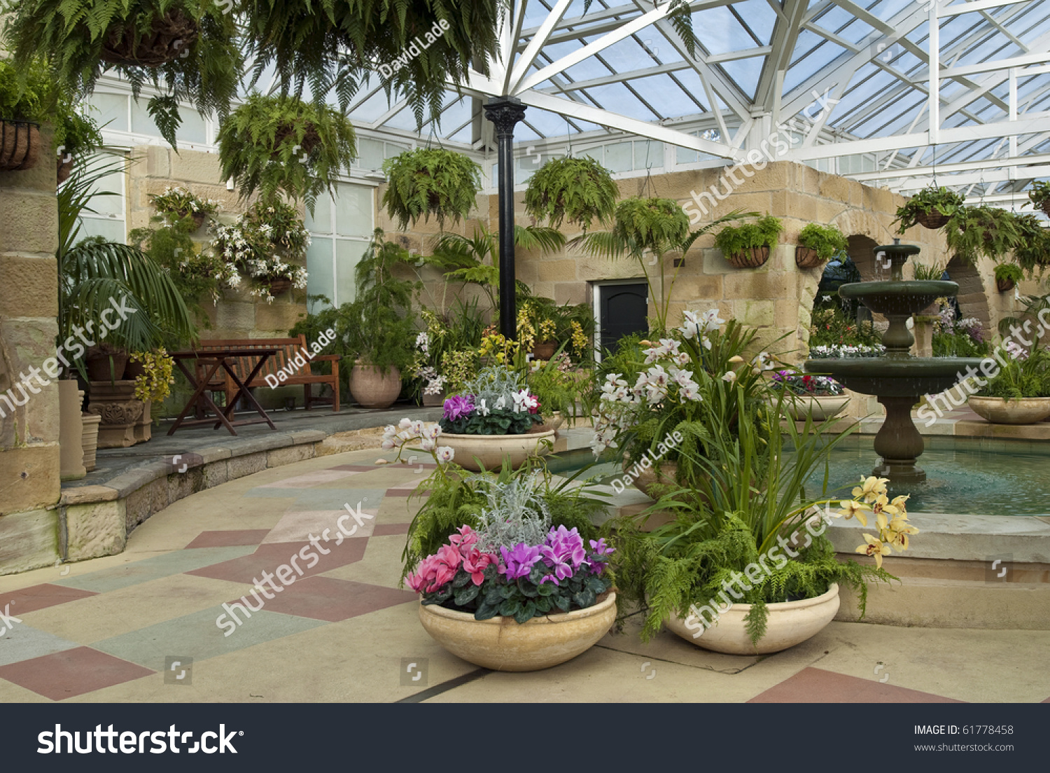 Cyclamen Pots Indoor Garden Room Stock Photo 61778458  Shutterstock