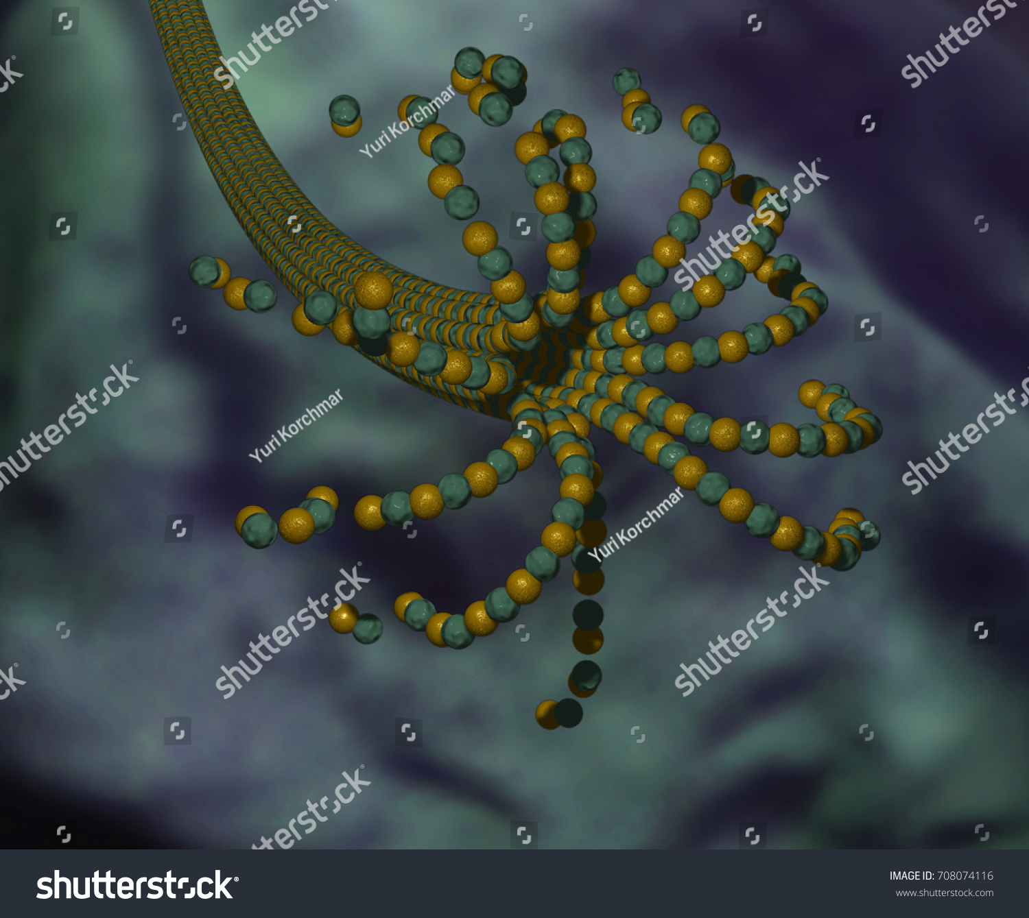 Cytology D Illustration Shrinking Microtubule Cell Stock Illustration