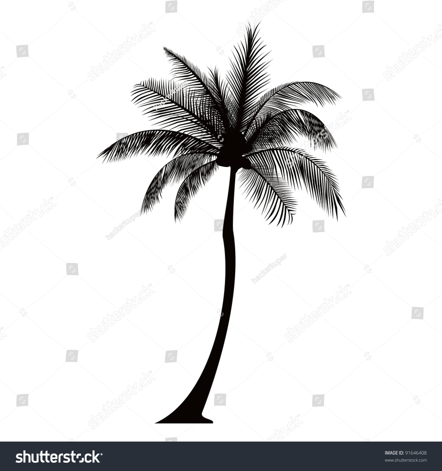 Dark Tall Palm Tree Silhouette Stock Photo 91646408 : Shutterstock