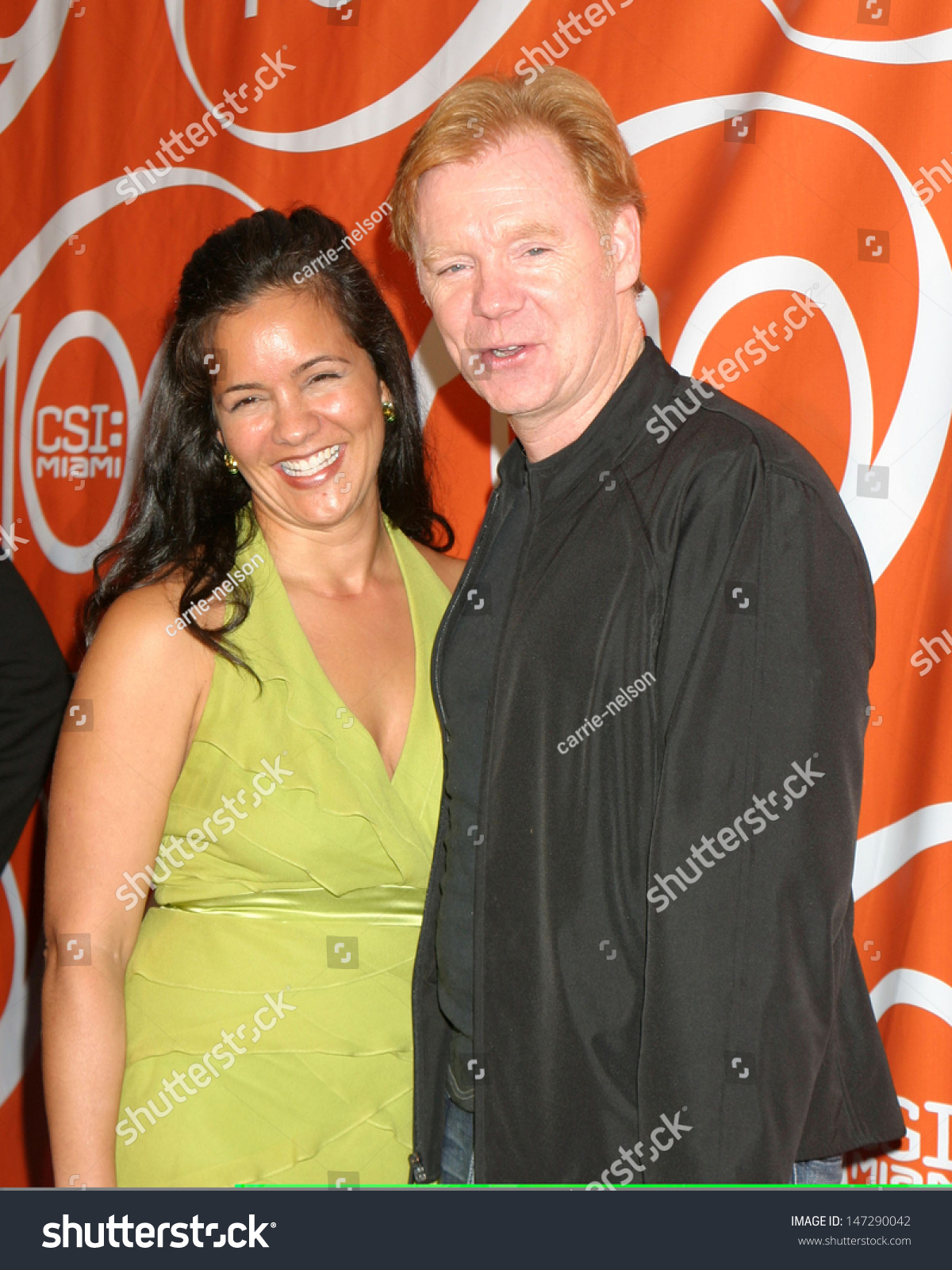 David Caruso Liza Marquez Csi Miamis Stock Photo 147290042 Shutterstock