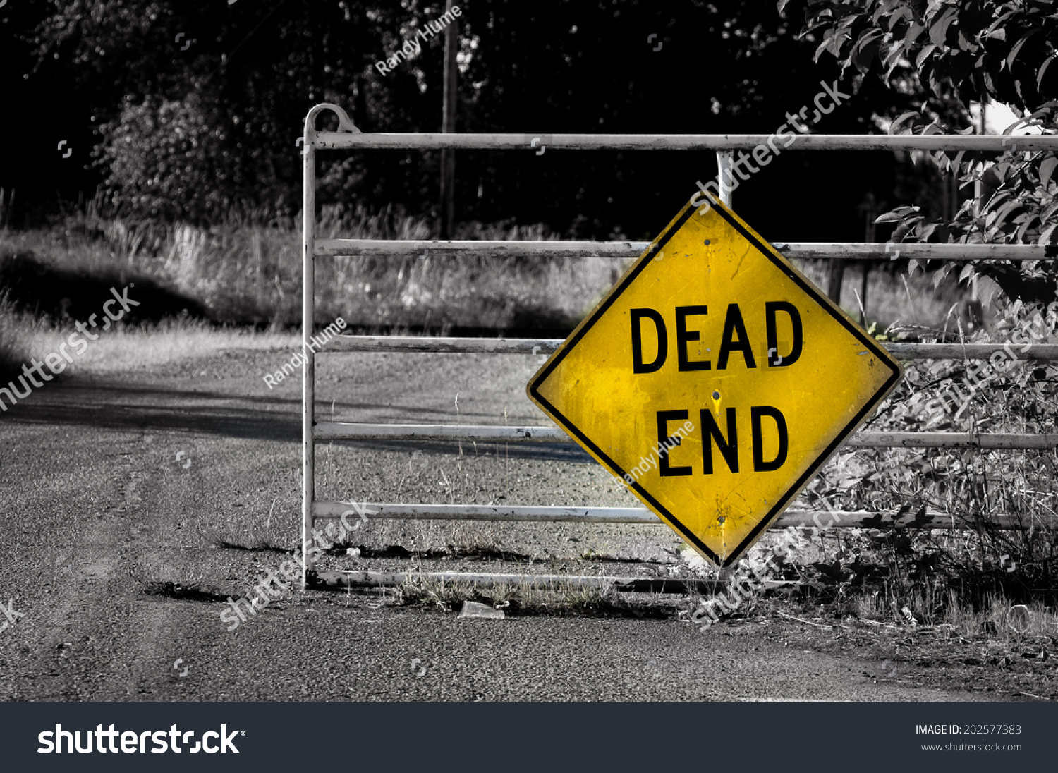 Dead End Stock Photo 202577383  Shutterstock