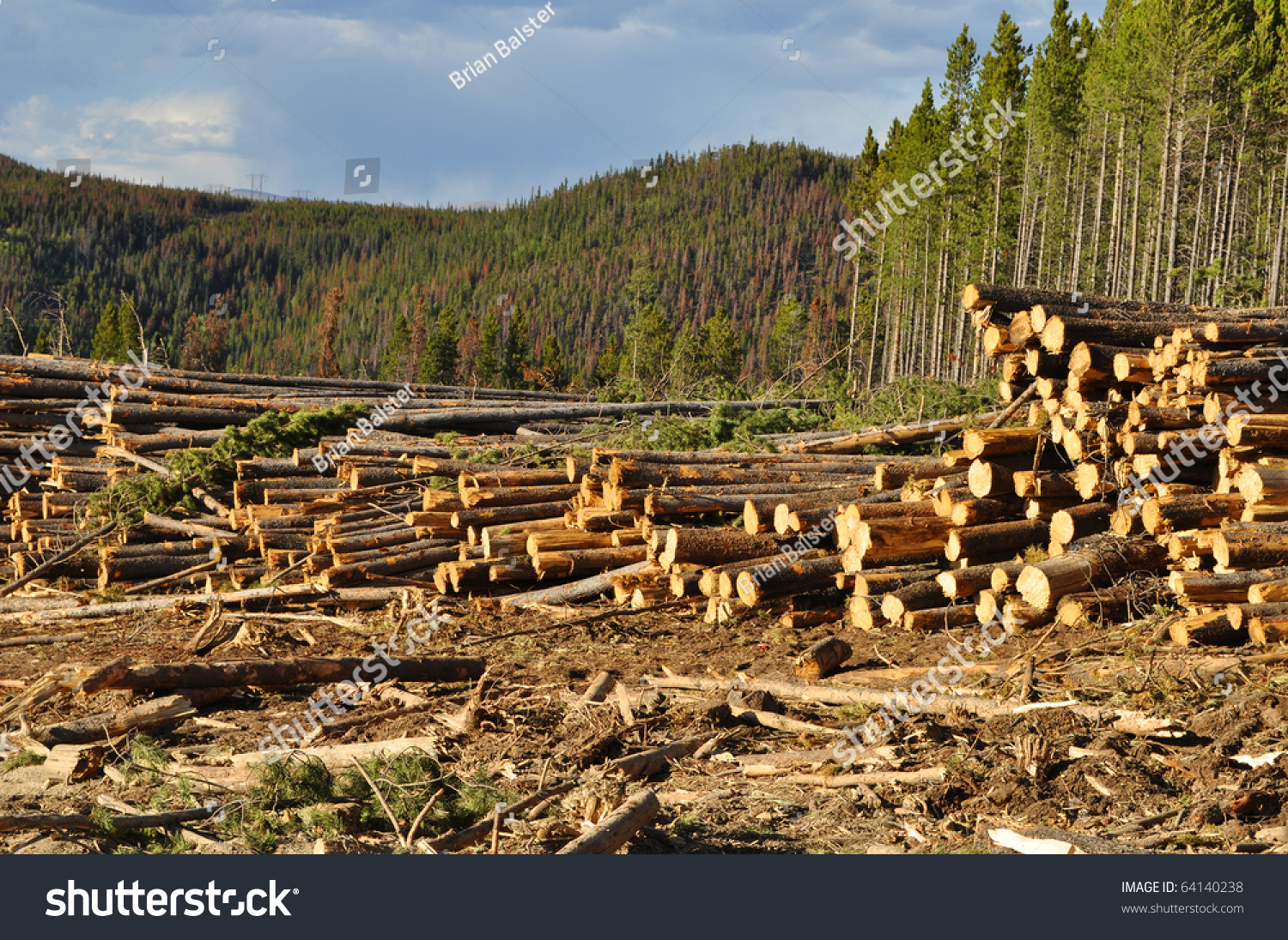 preventive measures of deforestation There is no single factor that is responsible for deforestation 272 comments on 5 big causes of deforestation and how you can stop it sign on with: click to add comment notify me of followup comments via e-mail boi 15 hours ago. preventive measures of deforestation There is no single factor that is responsible for deforestation 272 comments on 5 big causes of deforestation and how you can stop it sign on with: click to add comment notify me of followup comments via e-mail boi 15 hours ago.