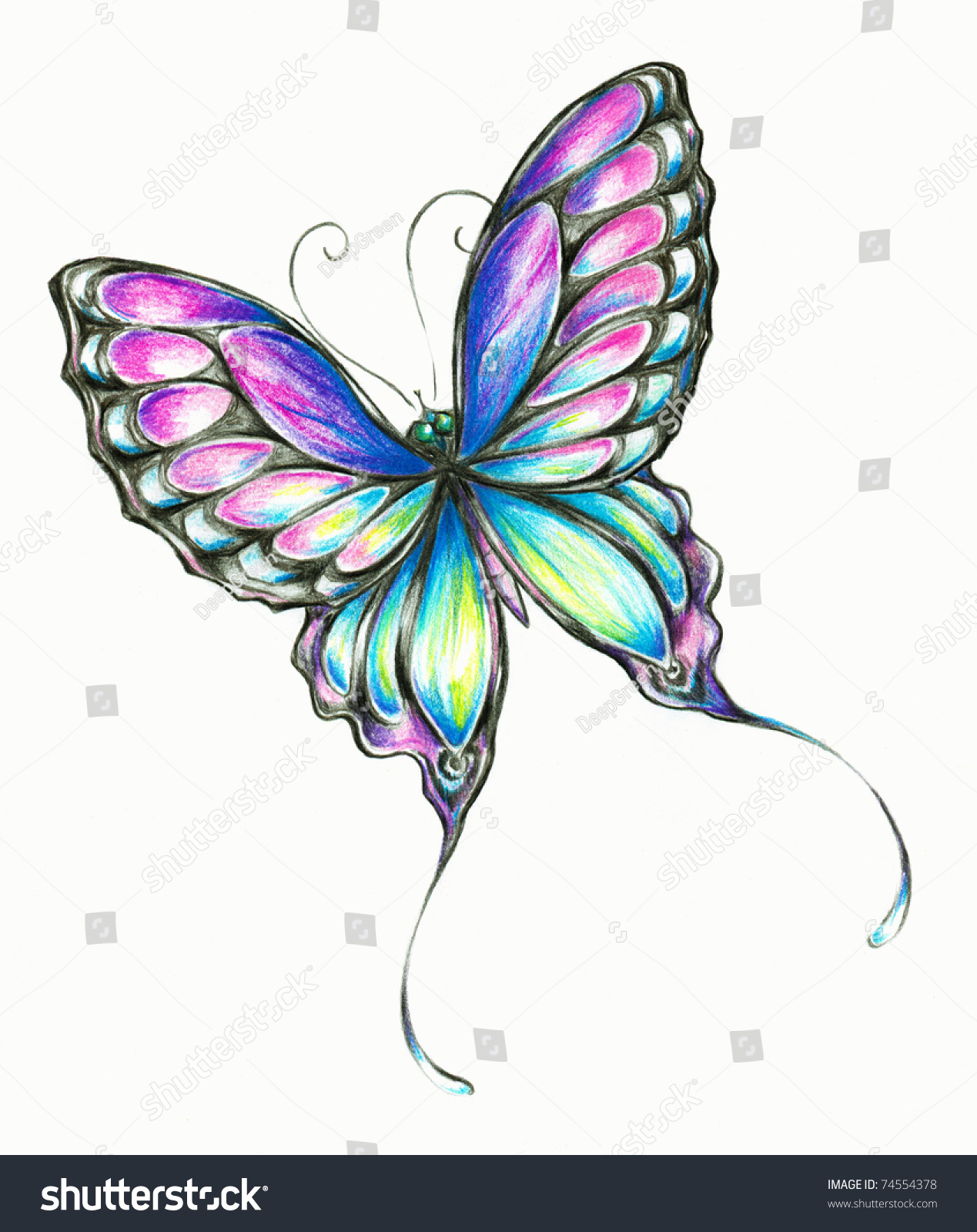 Delicate Colorful Butterfly Hand Paintedpicture Have Stock ...