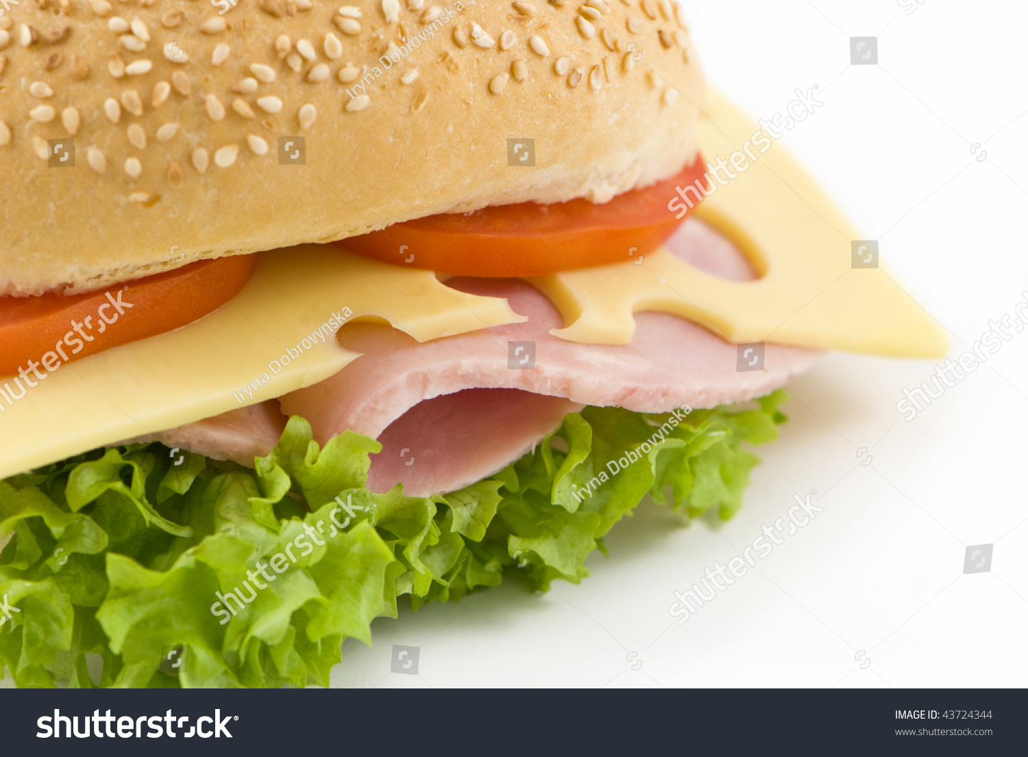 Delicious Ham And Cheese White Bread Sandwich With Salad And Tomatoes