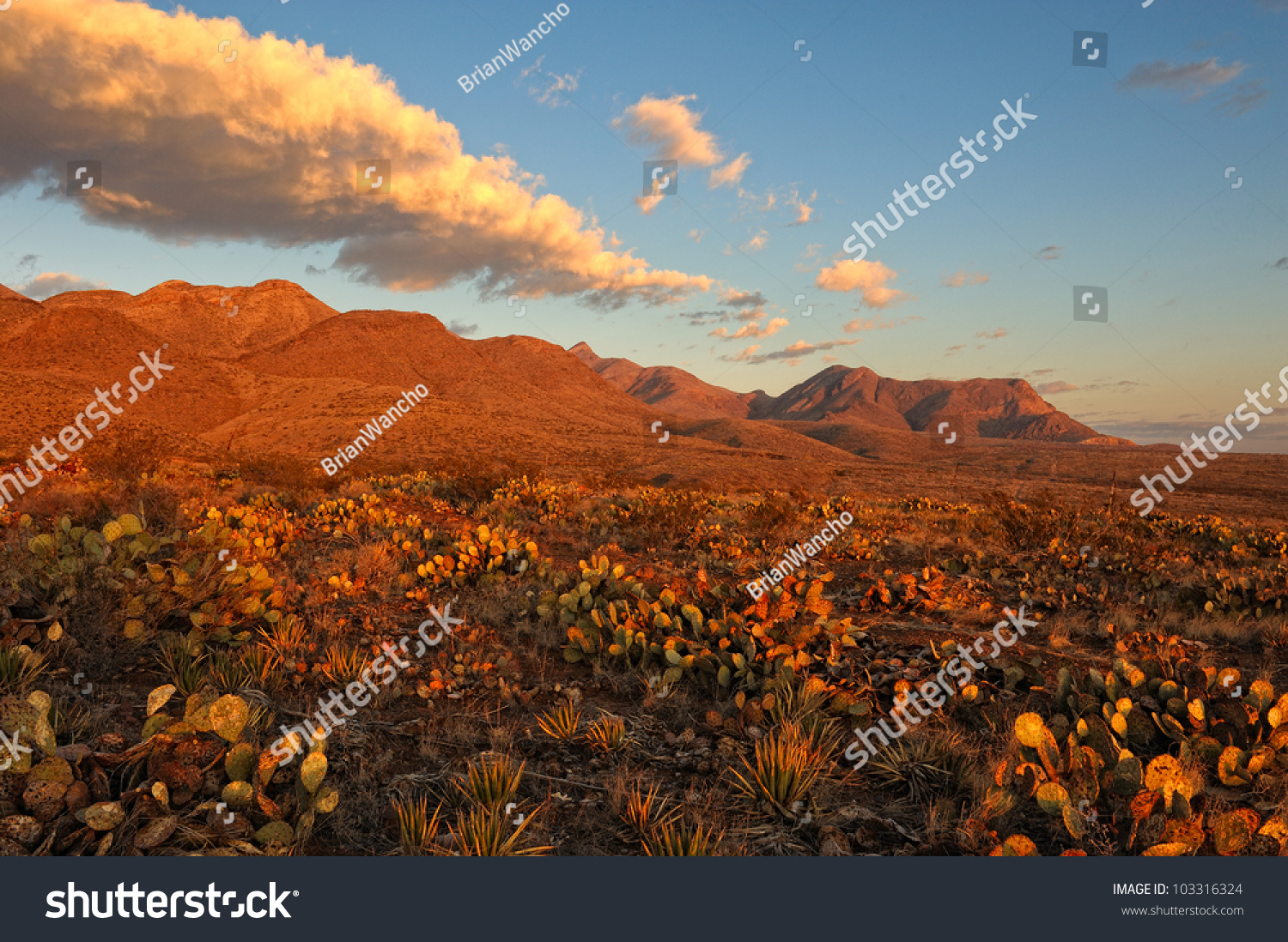 Desert Mountains Sunrise Southern Rocky Mountains Stock Photo 103316324 