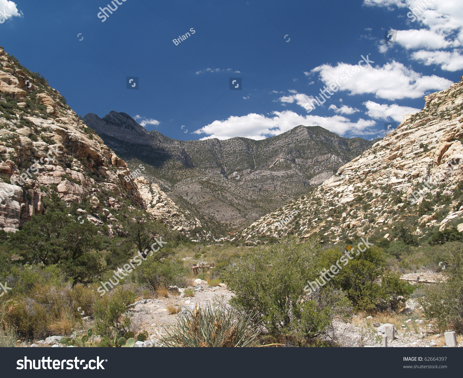 Swingers in dry valley nv