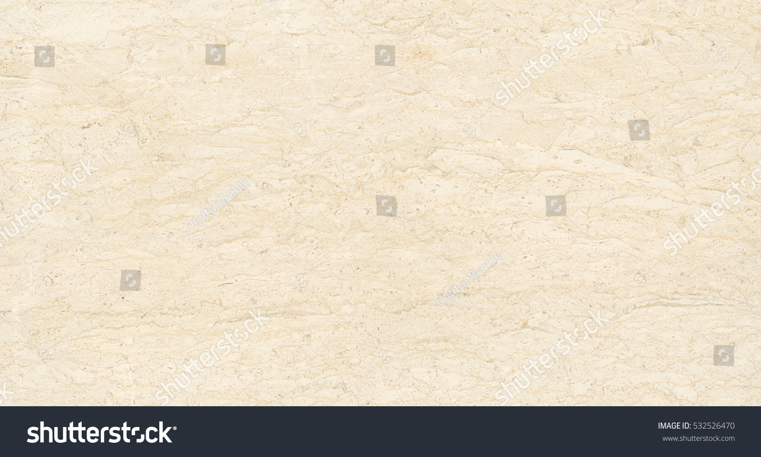 Detailed Natural Marble Texture or Background High Definition Scan Detailed Natural Marble Texture or Background High Definition Scan