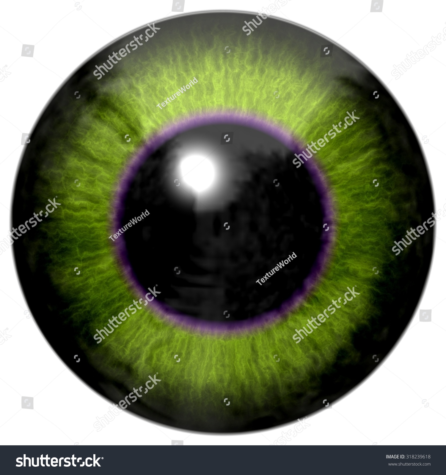 Detailed Realistic Eye Texture Isolated Stock Illustration 318239618 