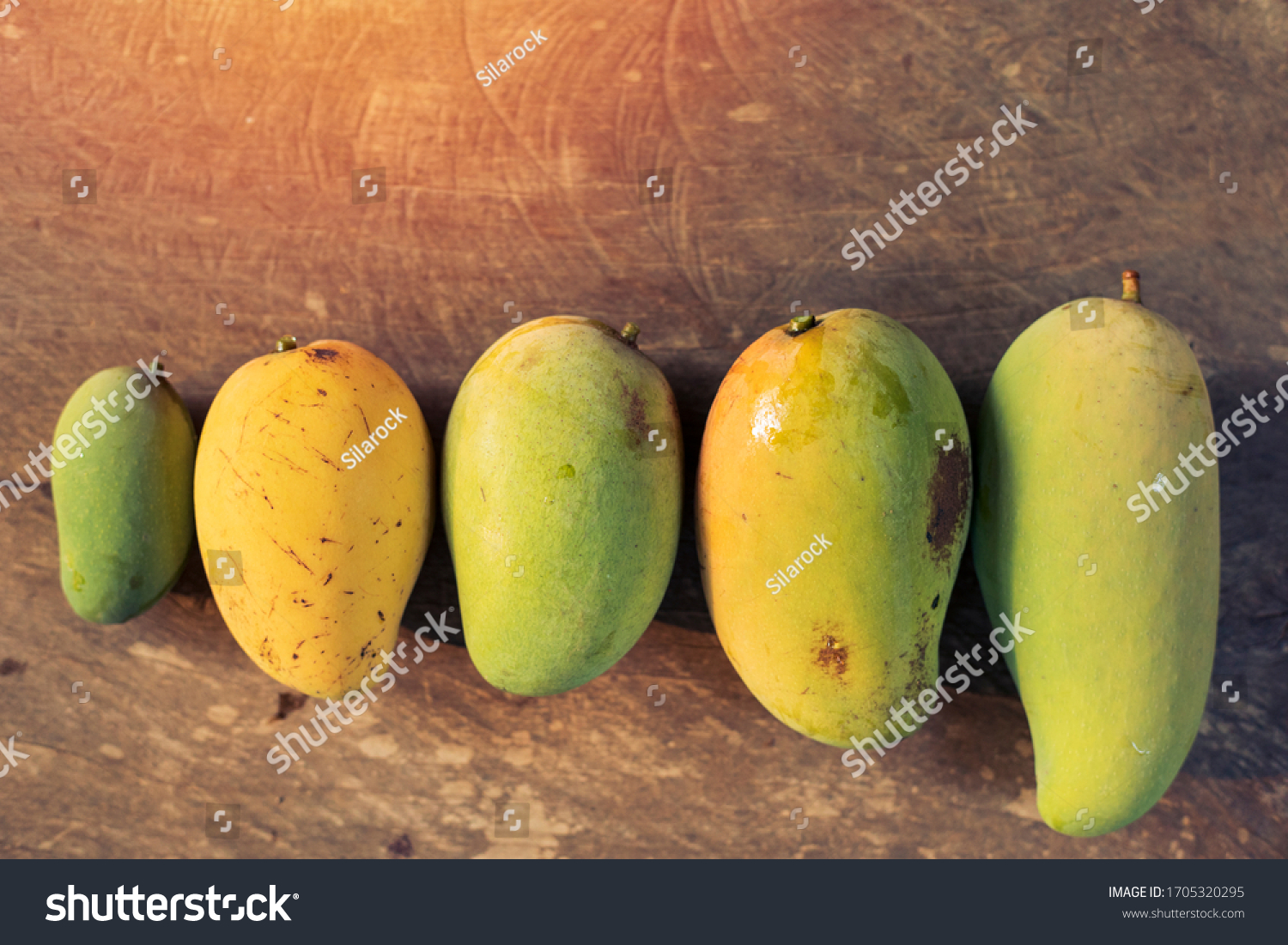 443 Different Types Of Mangoes Images Stock Photos Vectors