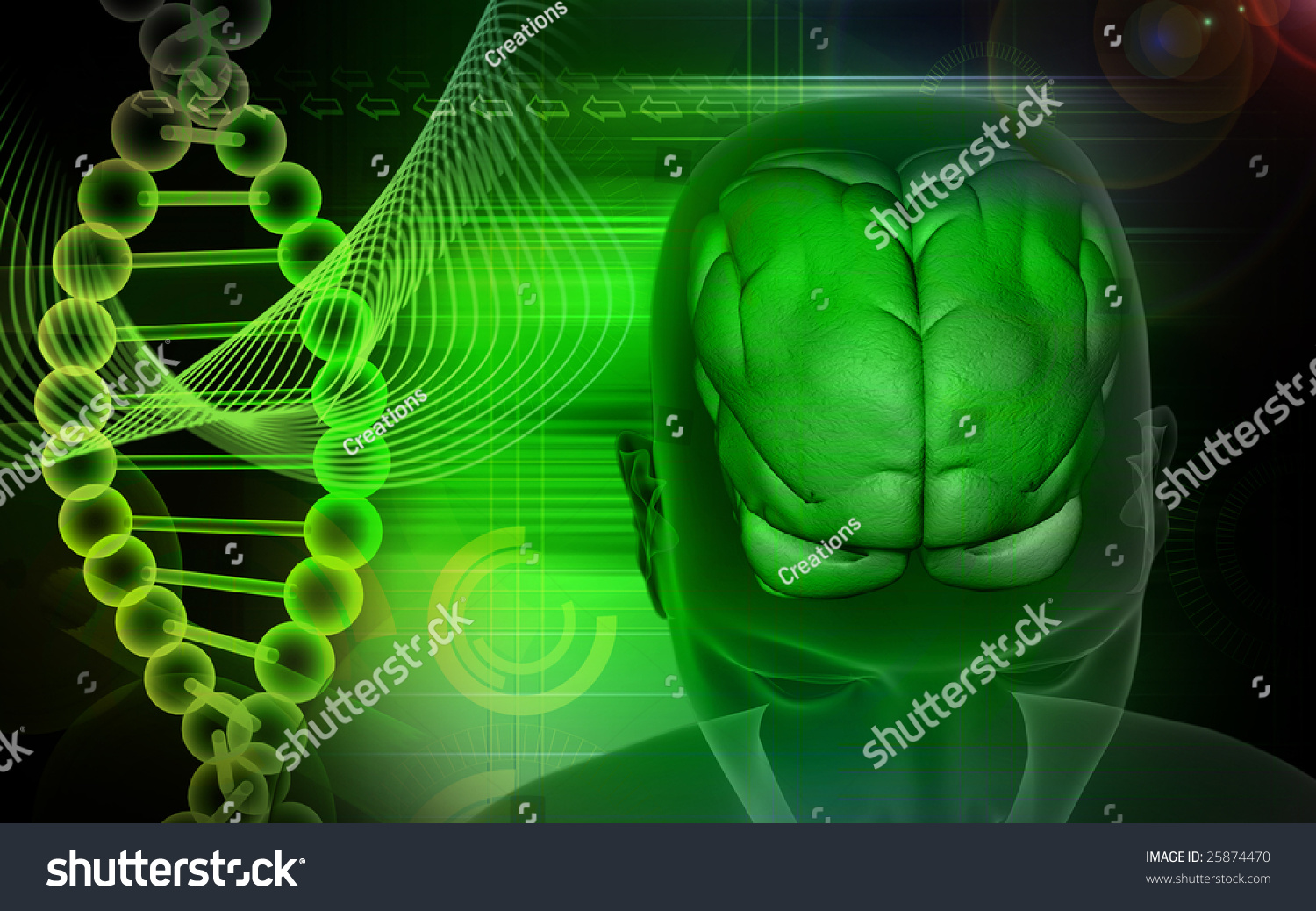 Digital Illustration Of A Human Brain And Dna 25874470 Shutterstock