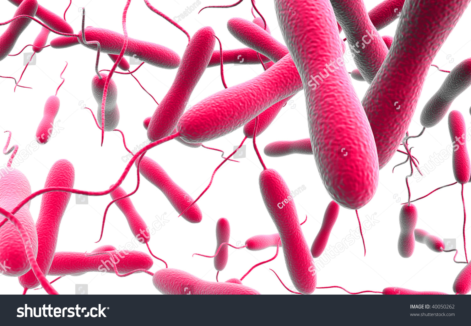 Digital Illustration Cholera Bacteria Isolated Background Stock 