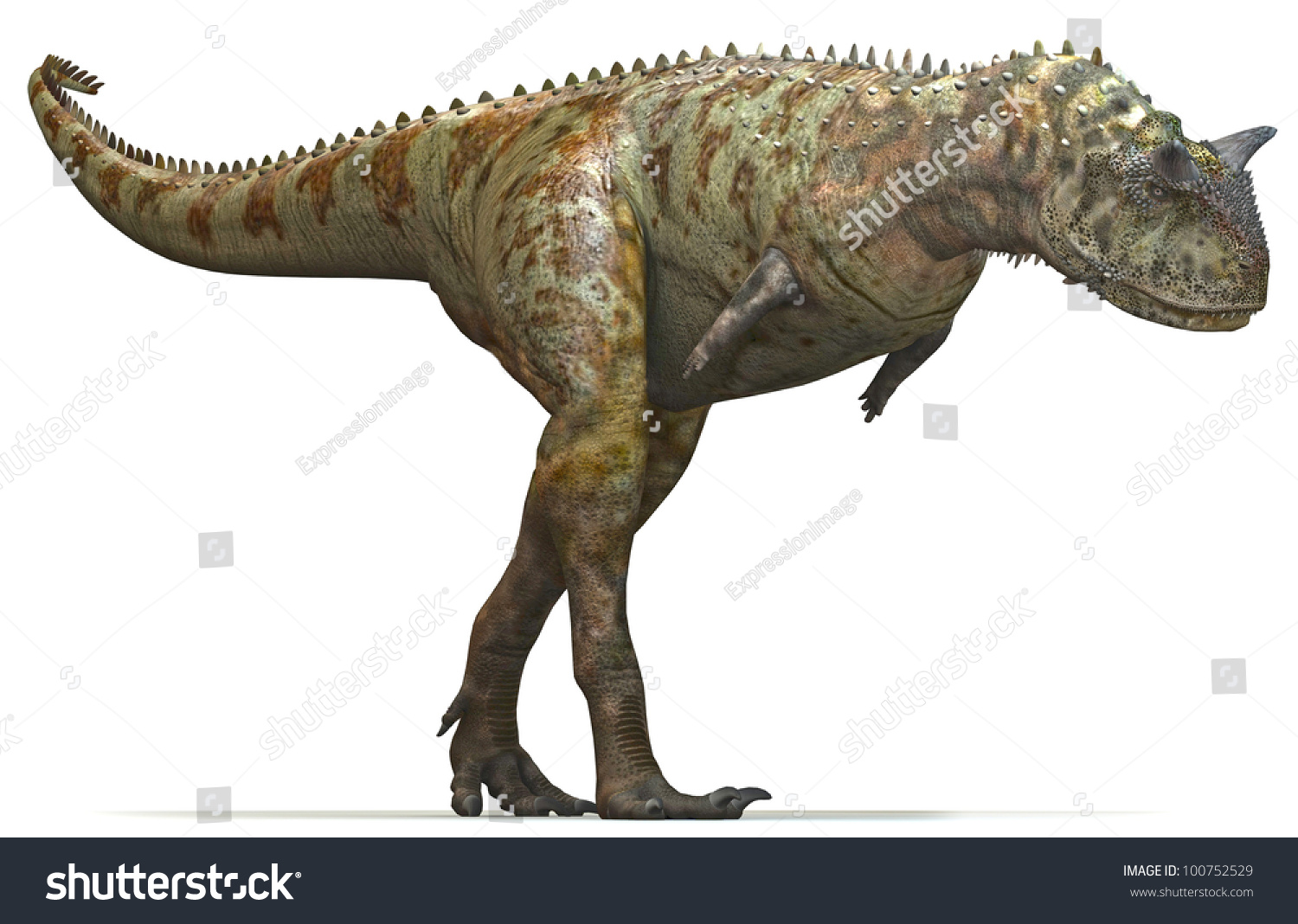 carnivore dinosaur with spikes on back