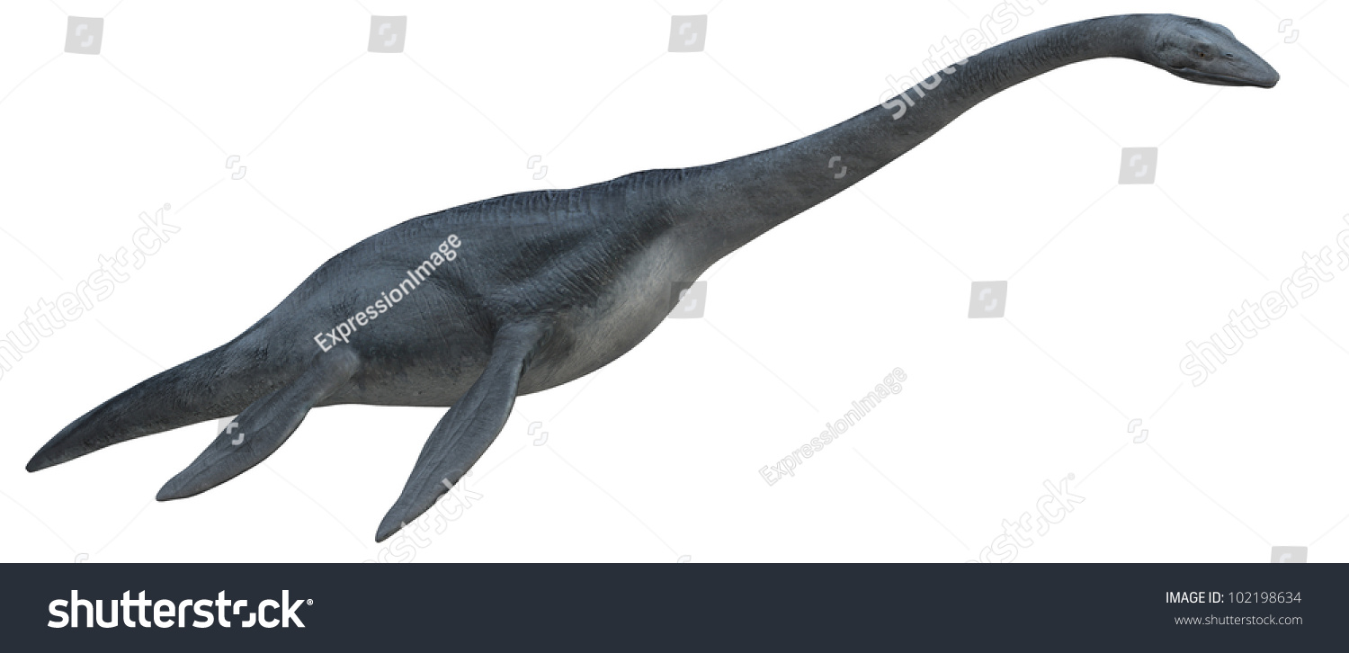 dinosaur with long neck that swims