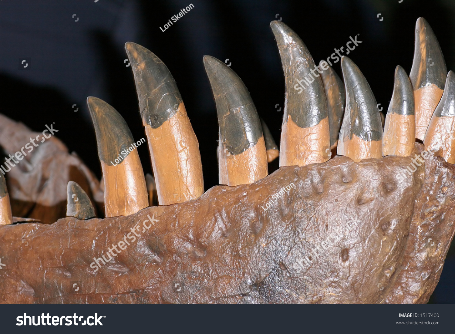 dinosaur with the most teeth in the world