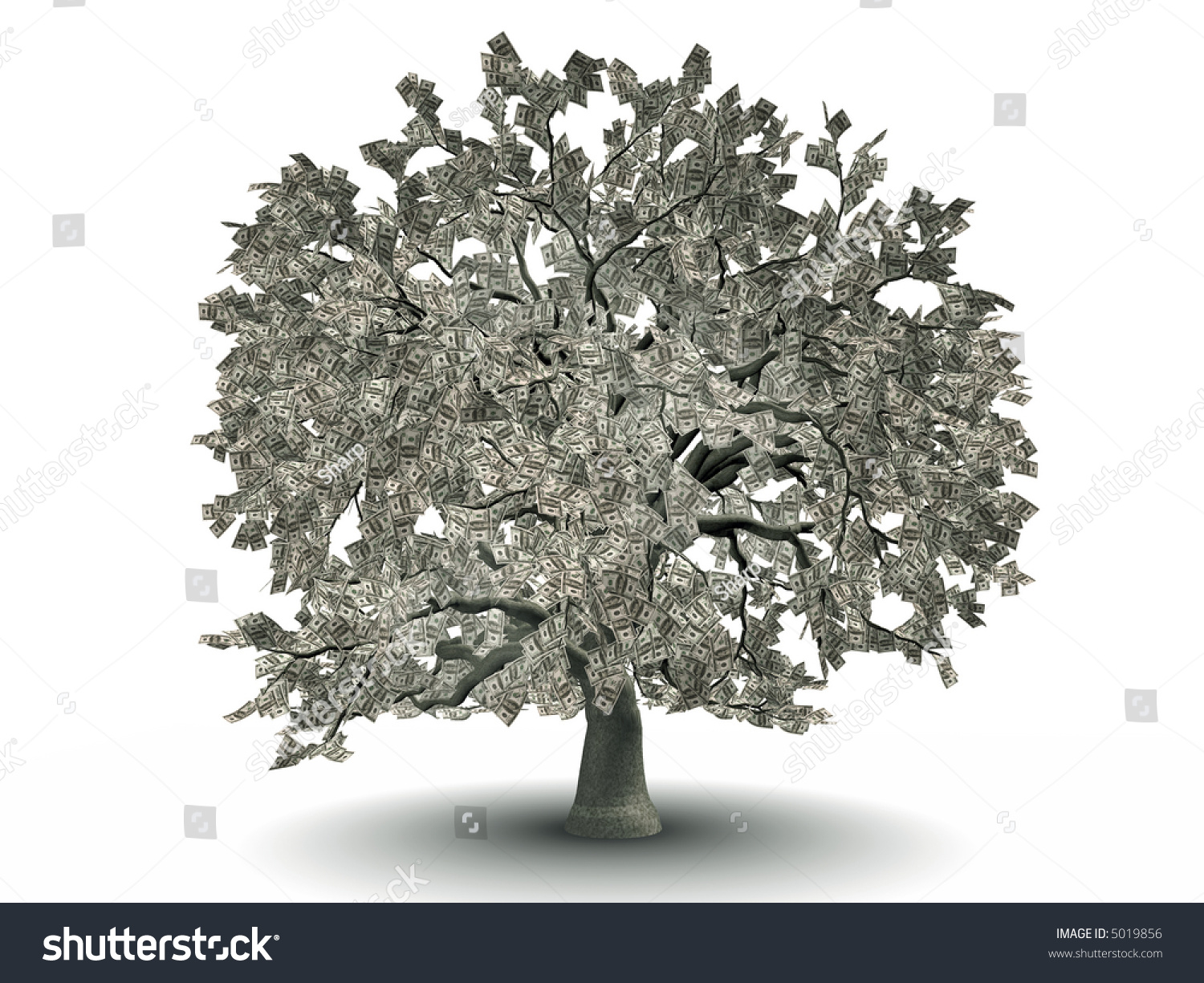 Dollar Tree Stock Photo 5019856 : Shutterstock