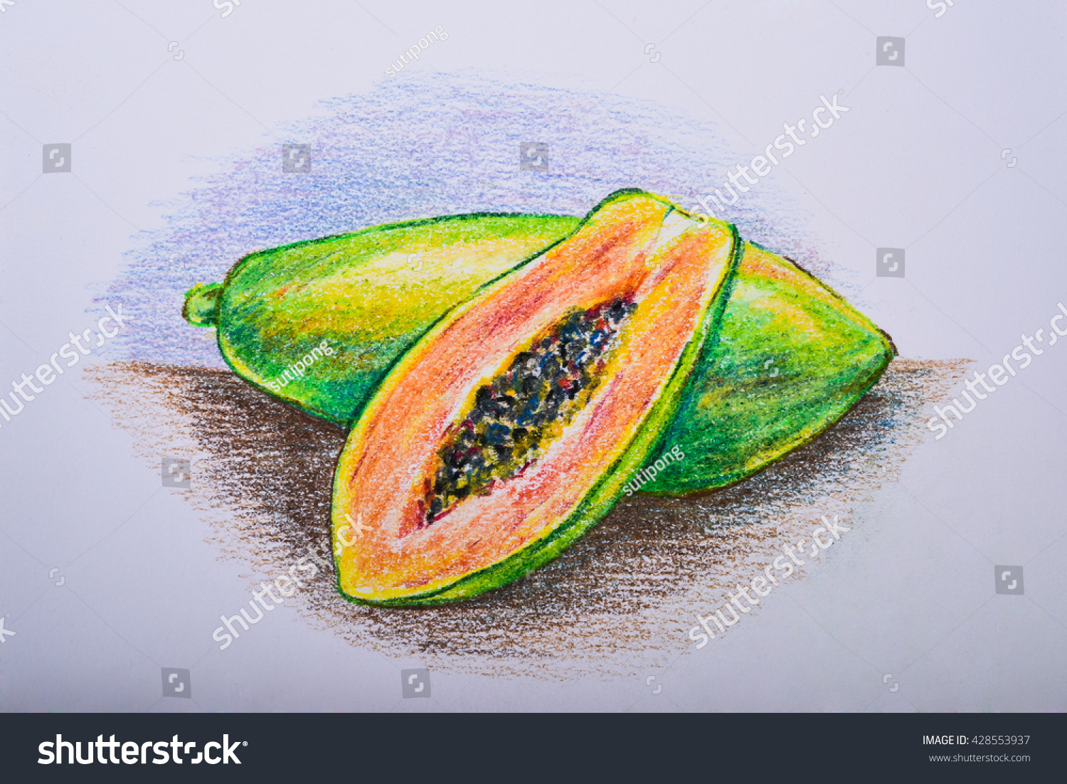 Drawing Fruit Colour Pencil Papaya Stock Illustration 428553937