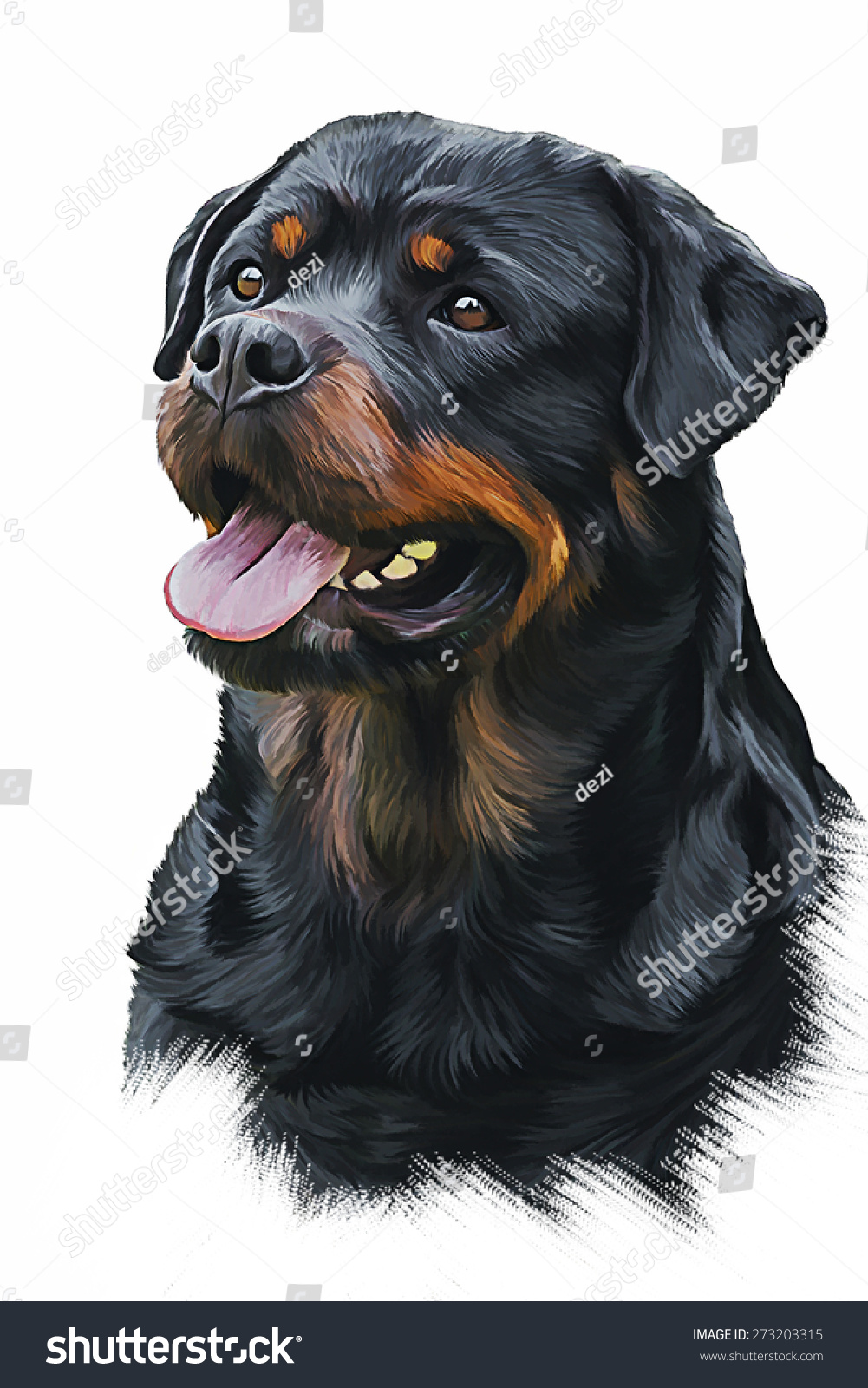 Drawing Of The Dog Rottweiler, Tricolor, Oil Painting On A White
