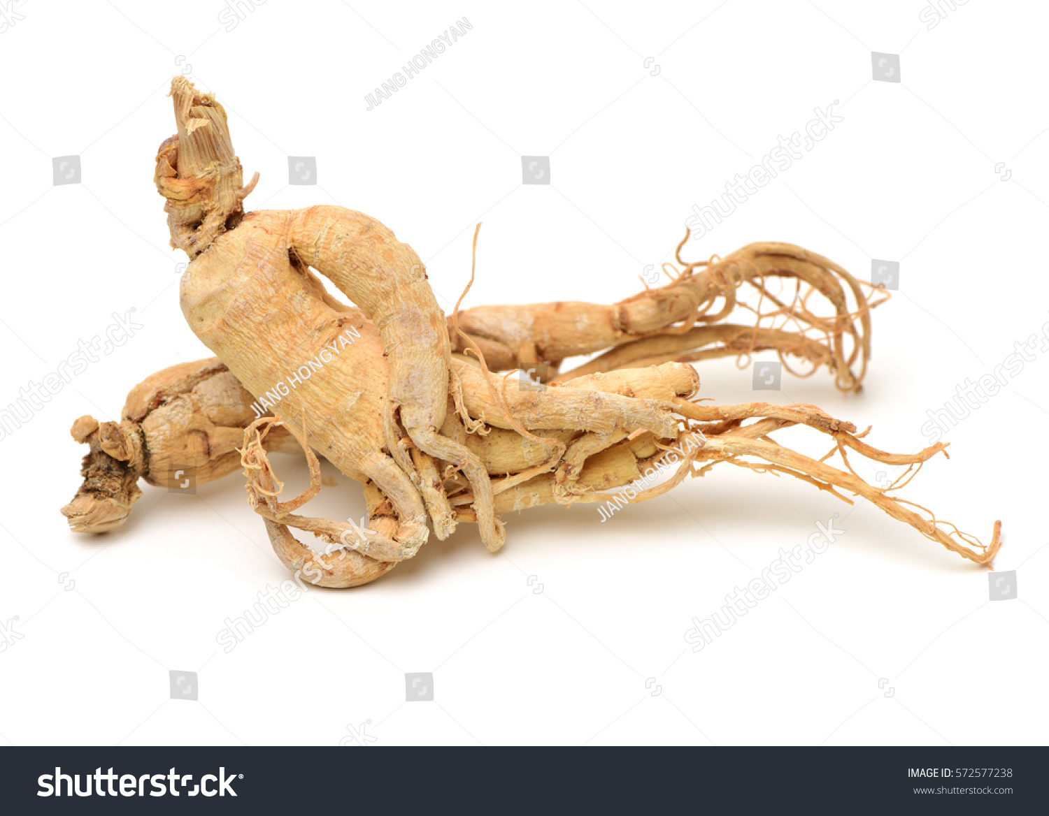 Dried Korean Ginseng On White Background Stock Photo 572577238