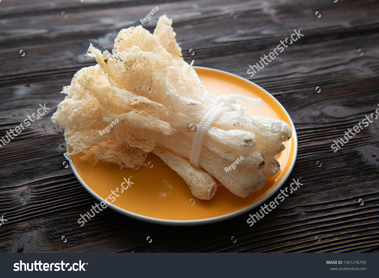 Dried Tropical Stinkhorn Mushroom Phallus Indusiatus Stock Photo