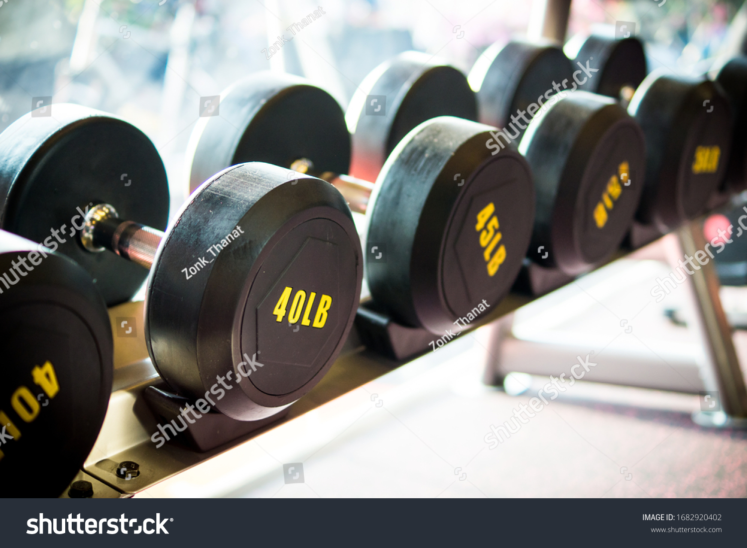 Dumbbell Exercises You Can Do Fitness Stock Photo Shutterstock