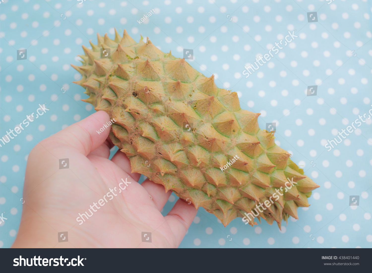 stock-photo-durian-shell-holding-by-hand-on-blue-polka-dots-background-with-vintage-tones-and-soft-focus-438401440.jpg