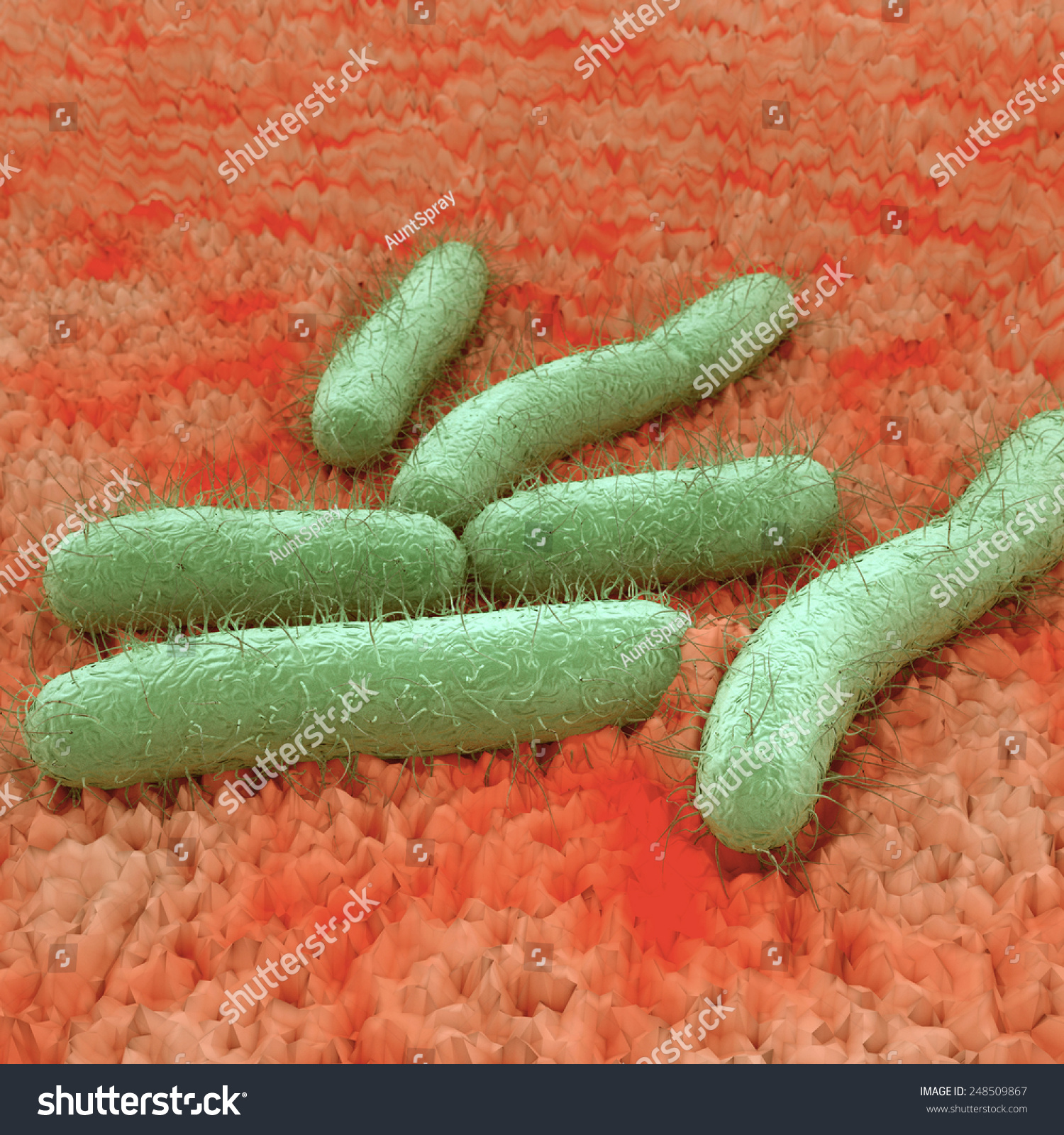 E Coli Bacteria On Tissue An illustration of Escherichia coli commonly abbreviated E coli a rod-shaped bacterium of the genus Escherichia that can cause serious food poisoning in their hosts E Coli Bacteria On Tissue An illustration of Escherichia coli commonly abbreviated E coli a rod-shaped bacterium of the genus Escherichia that can cause serious food poisoning in their hosts