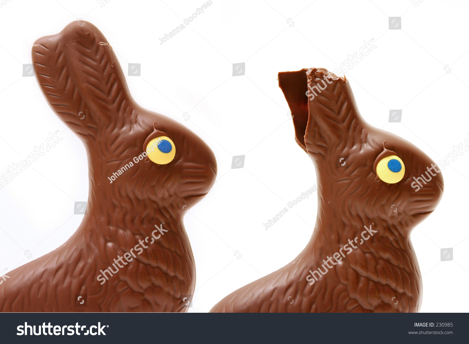 Easter Chocolate Bunny Full Eaten Ears Stock Photo 230985 Shutterstock